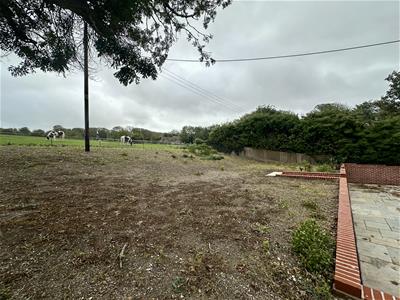Picture 14